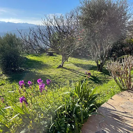 Bed & Breakfast Carpediem Corsica Adult Only Poggio-d'Oletta